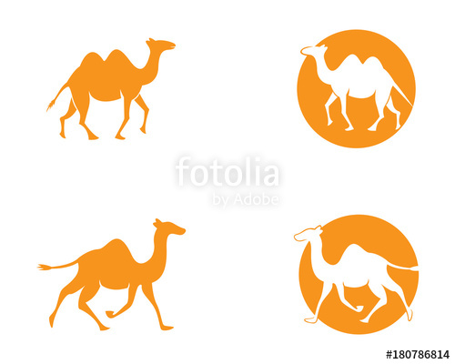 500x400 Camel Logo Template Stock Image And Royalty Free Vector