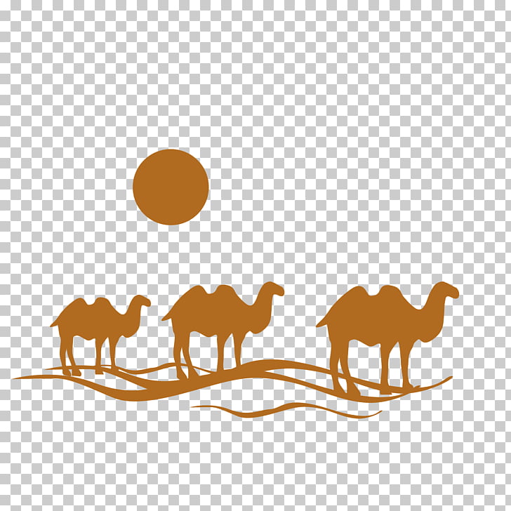 728x728 Flight Travel Agent Logo, Camel Png Clipart Free Cliparts Uihere