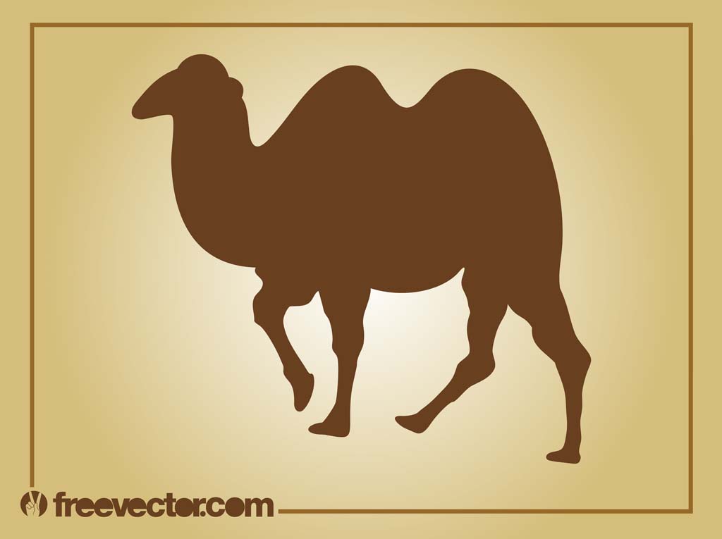 1024x765 Vector Camel Vector Art Graphics