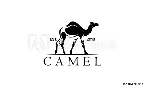 500x300 Camel Logo Design Template,vintage Camel Vector Illustration