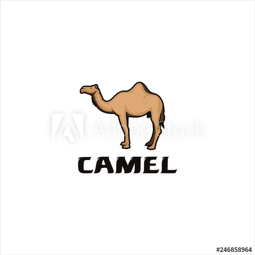 500x500 Camel Logo Vector