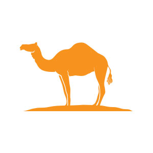 300x300 Camel Logo Buy The Logo Camel Logo Vector Format