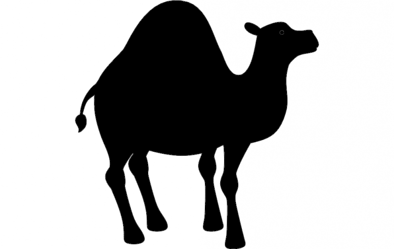 800x505 Camel Silhouette Vector Dxf Free Download