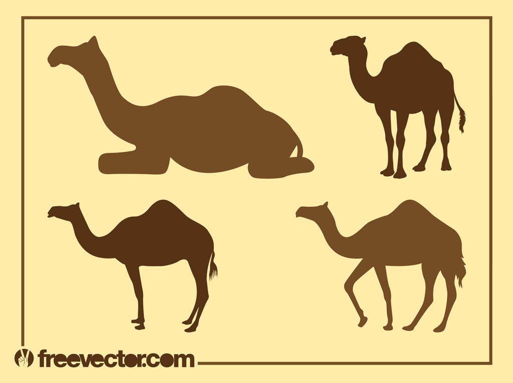 1024x765 Camel Silhouettes Graphics Vector Art Graphics