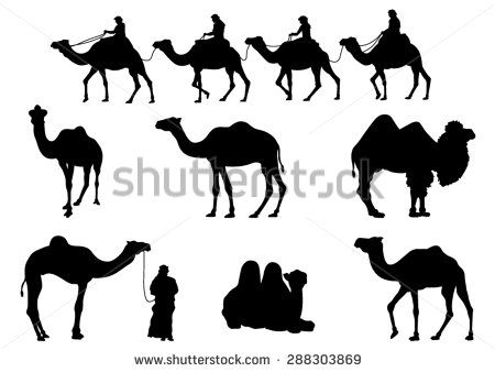 450x338 Camel Silhouettes Vector Image Animals Camel, Camels, Animals