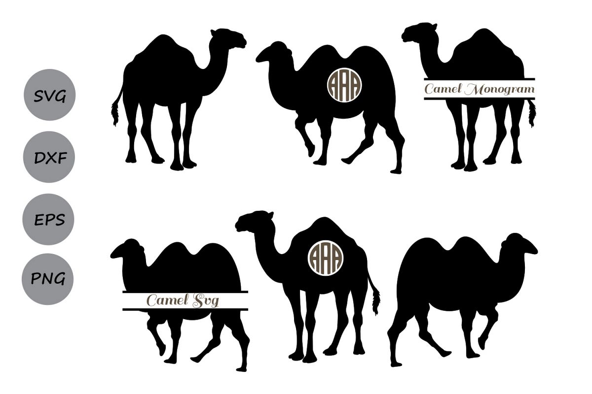 1200x800 Camel Camel Monogram Camel Clipart, Animal Camel