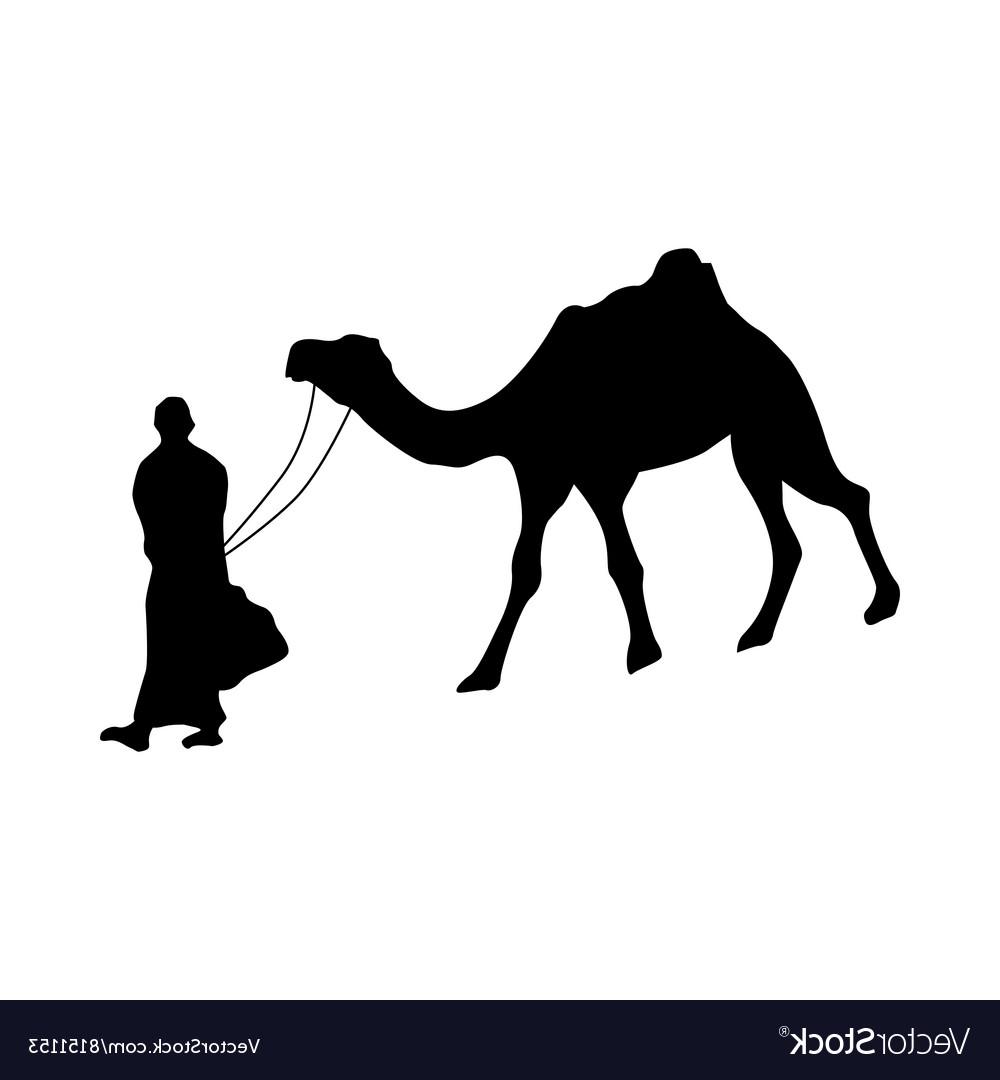 1000x1080 Best Hd Camel Outline Vector Cdr Free Vector Art, Images