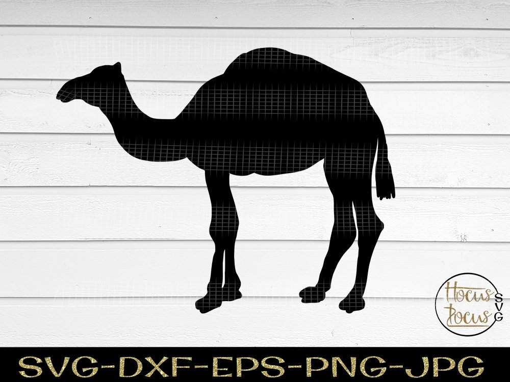 1000x750 Camel Camel Camel Silhouette Camel Vector Etsy