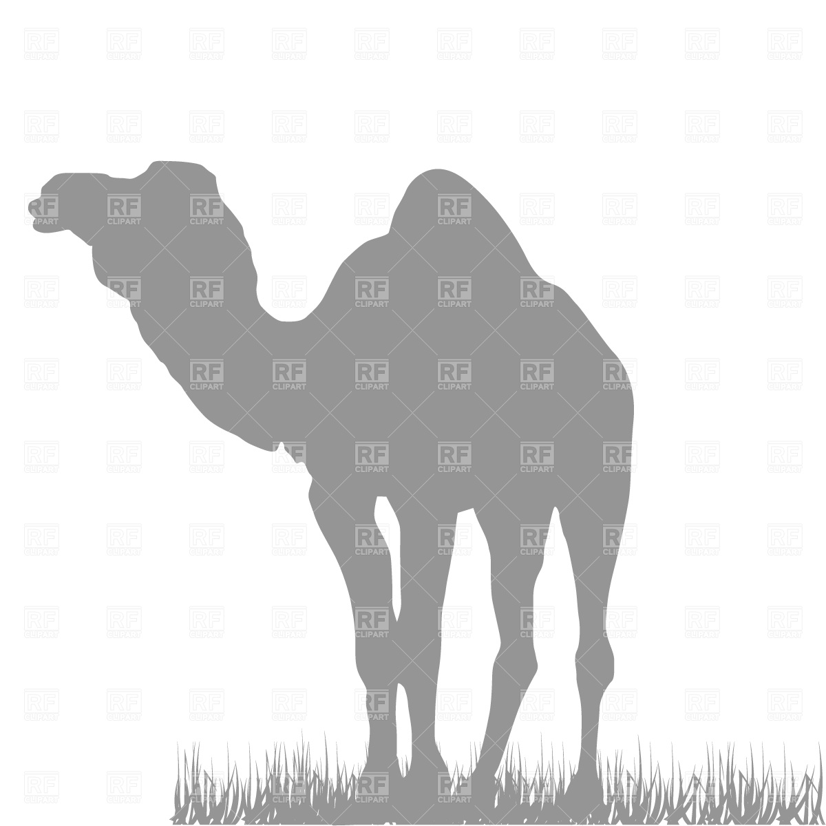1200x1200 Dromedary Camel Silhouette Vector Image Of Plants And Animals