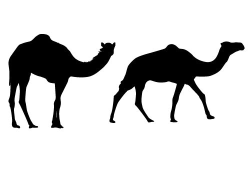 500x350 Free Camel Silhouette Vector To Use It On Your Personal