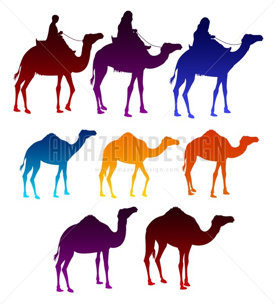 543x600 Set Of Colorful Vector Camels Silhouette