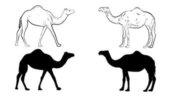 346x200 Camel Free Vector Art