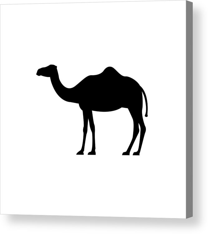 666x750 Vector Camel Silhouette View Side For Retro Symbols, Emblems