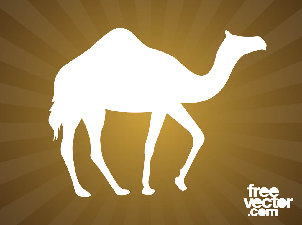 1024x765 Walking Camel Silhouette Vector Art Graphics