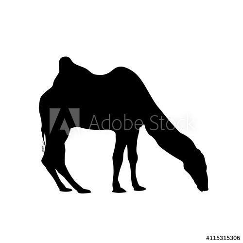 500x500 Bactrian Camel Silhouette Vector