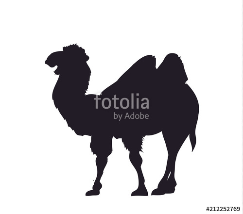 500x441 Camel, Silhouette, Vector Stock Image And Royalty Free Vector