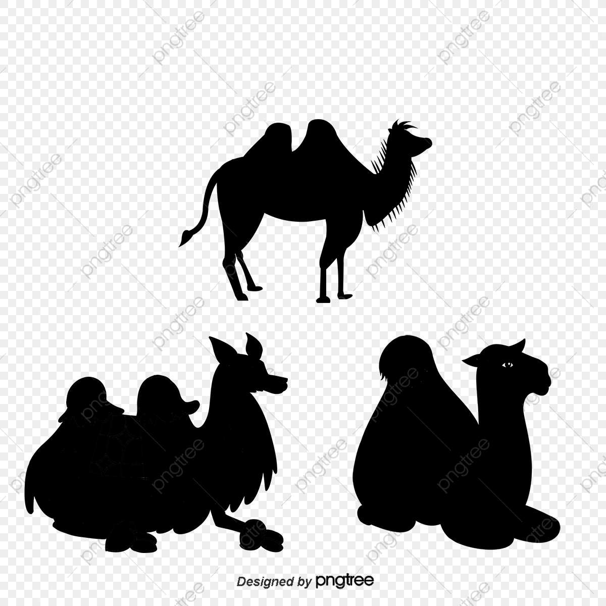 1200x1200 Camel Silhouette, Camel Vector, Silhouette Vector, Sketch Png