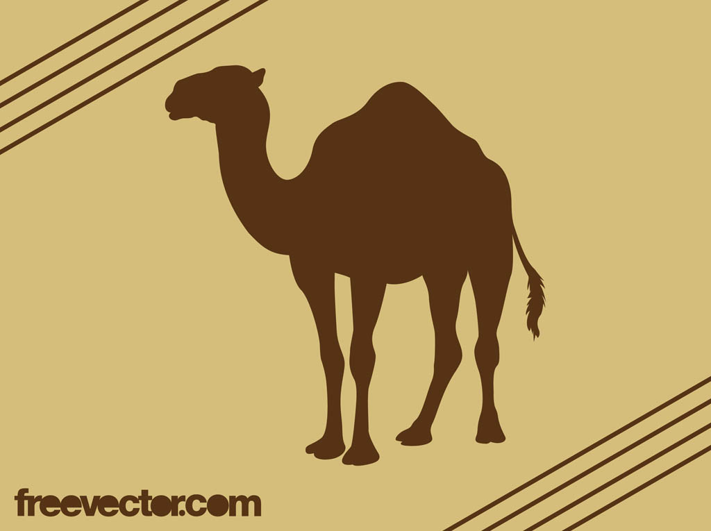 1024x765 Camel Silhouette Vector Vector Art Graphics