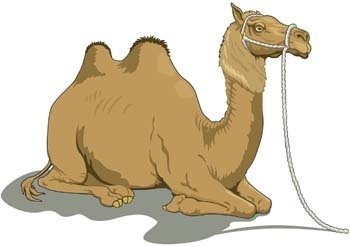 350x247 Camel Vector Clip Arts, Free Clipart