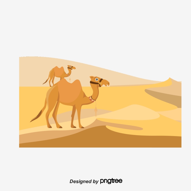 640x640 Camel, Camel Cartoon, Animal Png And Vector With Transparent