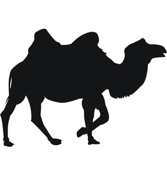 Camel Vector at Vectorified.com | Collection of Camel Vector free for ...