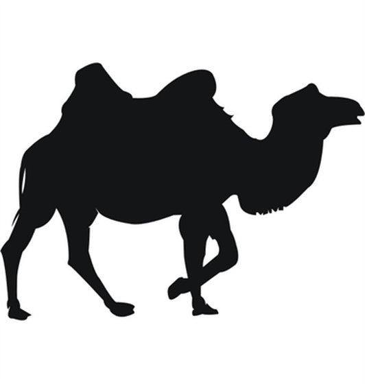 532x560 Camel Vector Silhouette