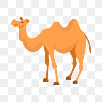 360x360 Camel Png, Vector, And Clipart With Transparent Background
