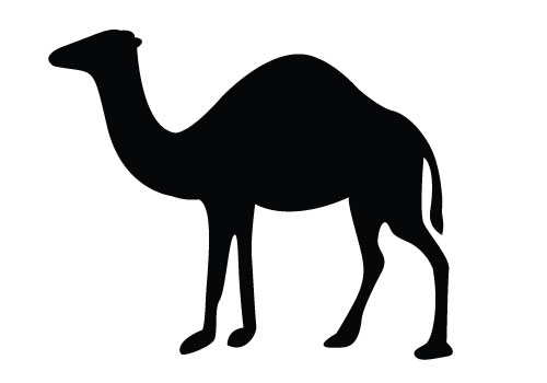 Camel Vector at Vectorified.com | Collection of Camel Vector free for ...