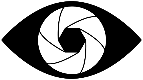 500x281 Camera Eye Vector