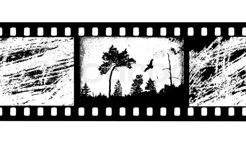 800x464 Vector Silhouette Camera Film Stock Vector Colourbox