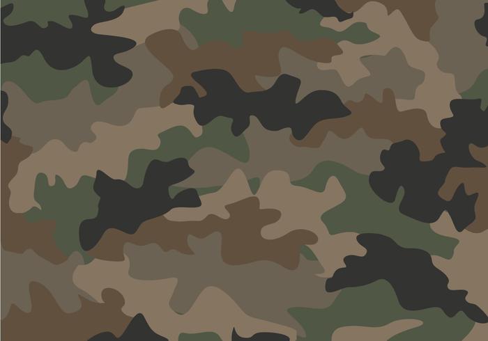 700x490 Camouflage Free Vector Art
