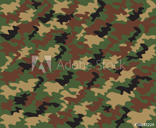 Camouflage Pattern 500x412 Camouflage Pattern