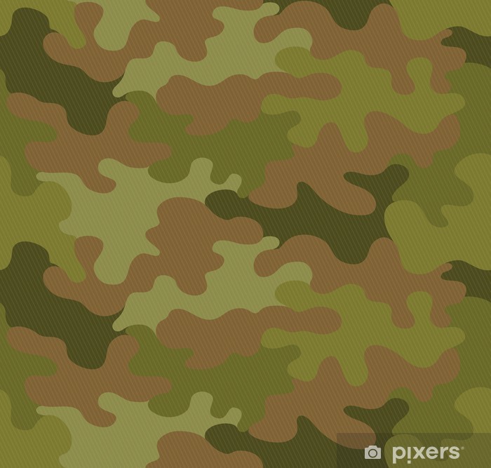 700x667 Camouflage Seamless Pattern Vector Background Wall Mural Pixers