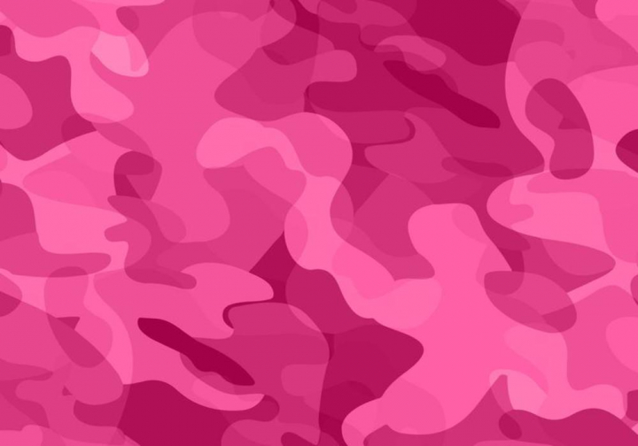720x504 Pink Camo Vector