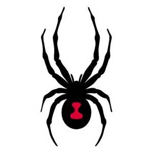 300x300 Can Am Spyder Image