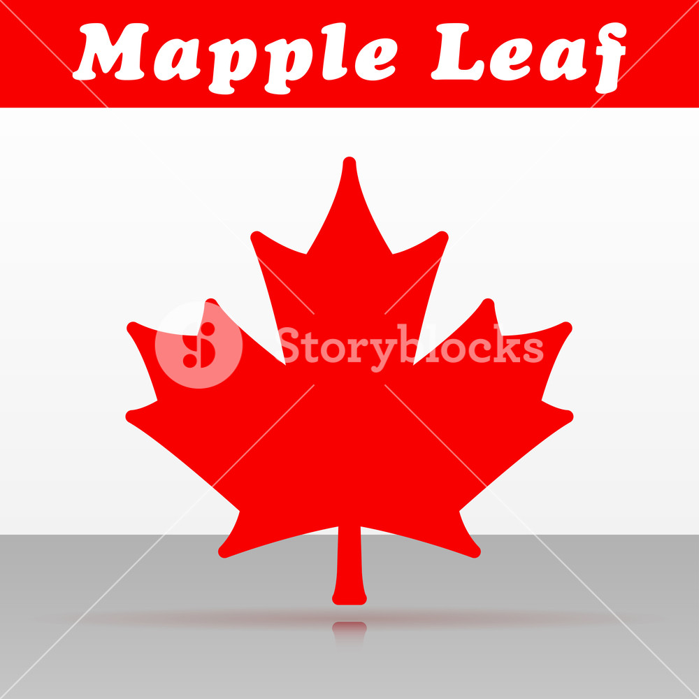 1000x1000 Illustration Of Mapple Leaf Vector Icon Design Royalty Free Stock