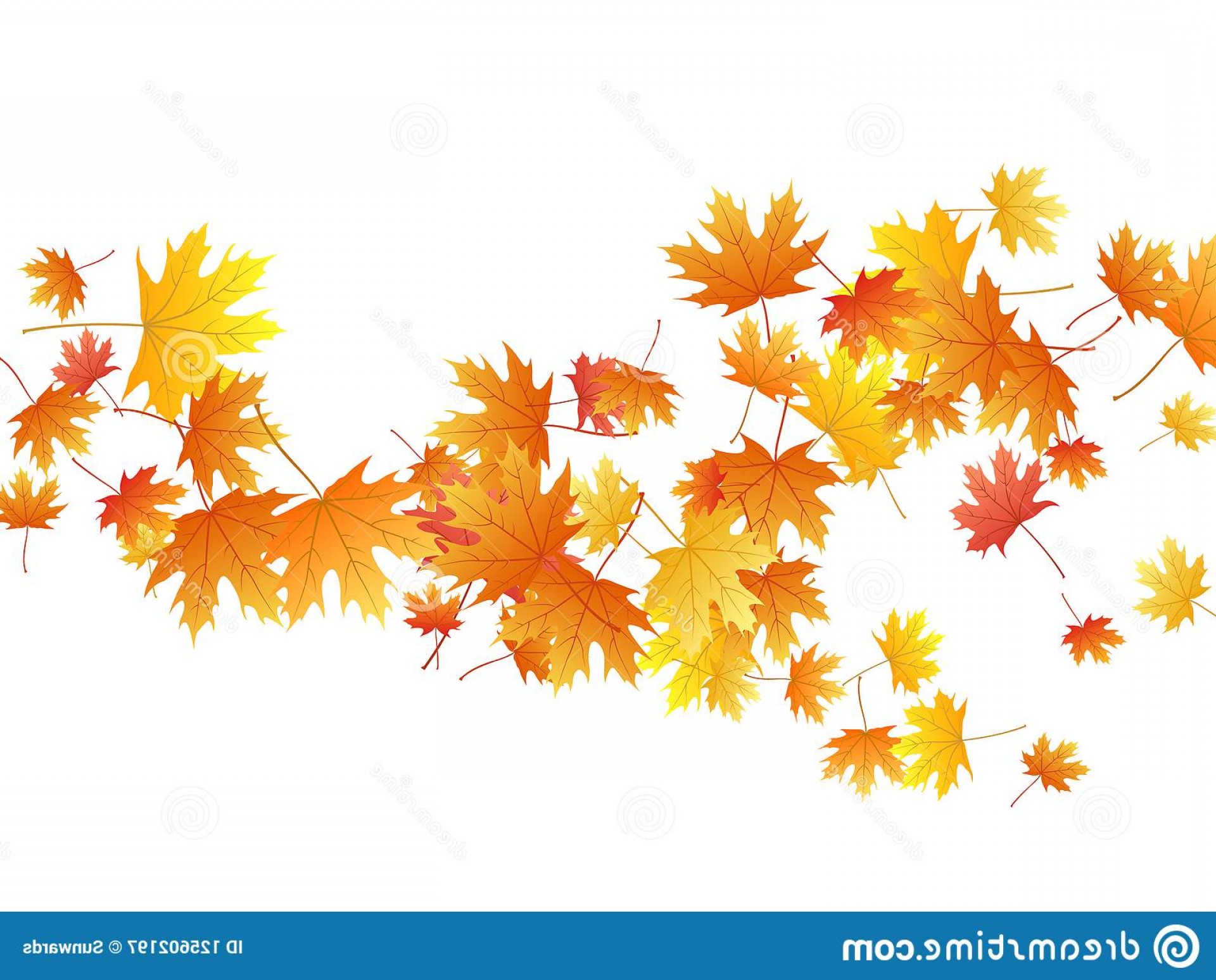 1920x1548 Maple Leaves Vector Background Autumn Foliage White Graphic Design
