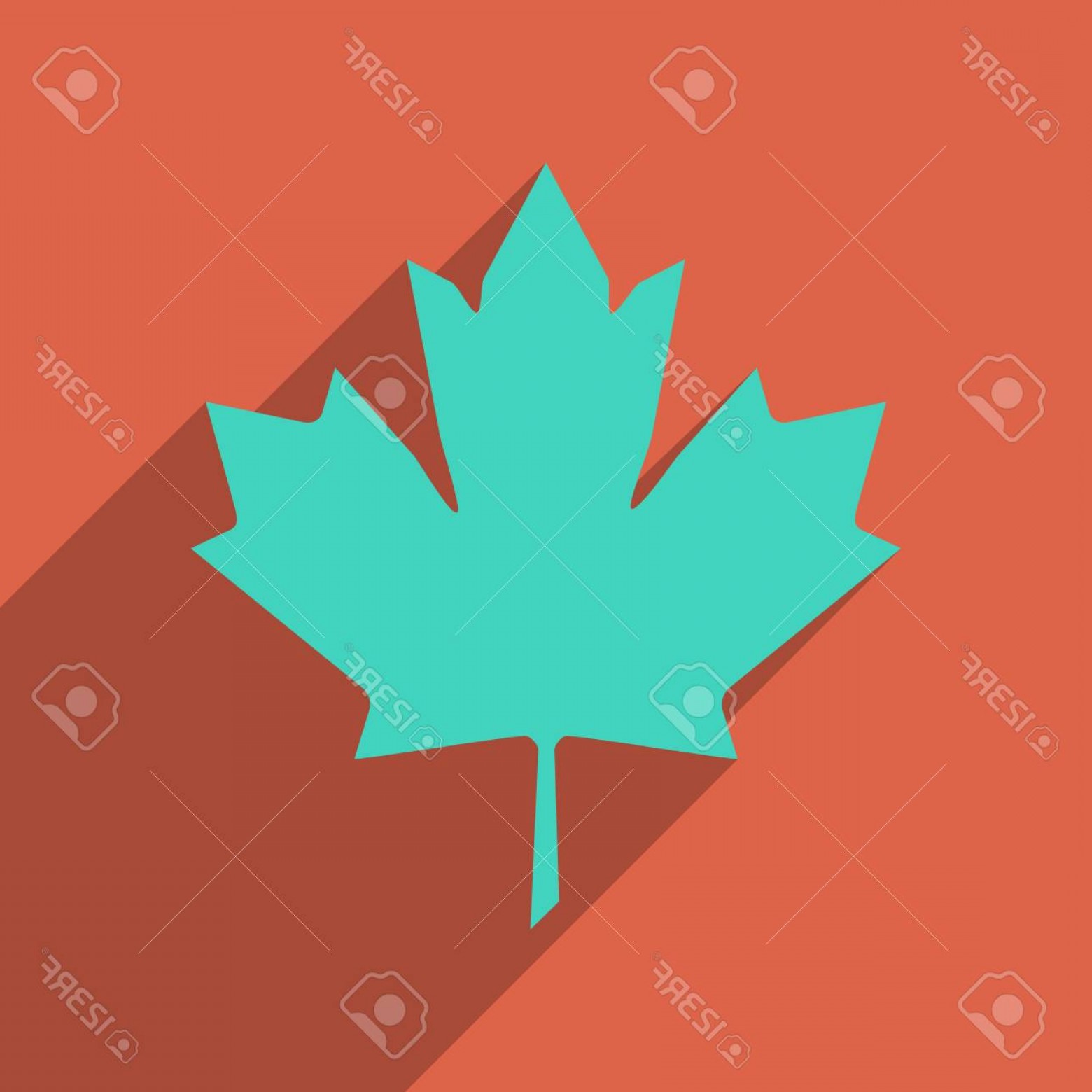 Canada Leaf Vector at Vectorified.com | Collection of Canada Leaf