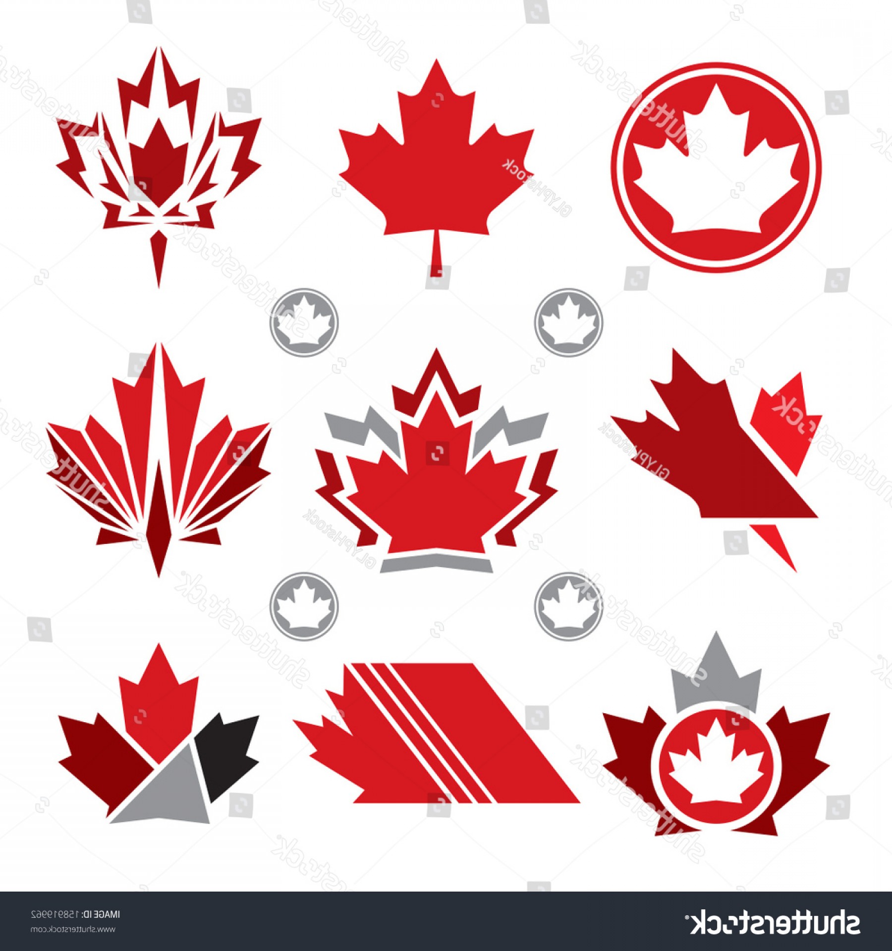 Canada Leaf Vector at Vectorified.com | Collection of Canada Leaf