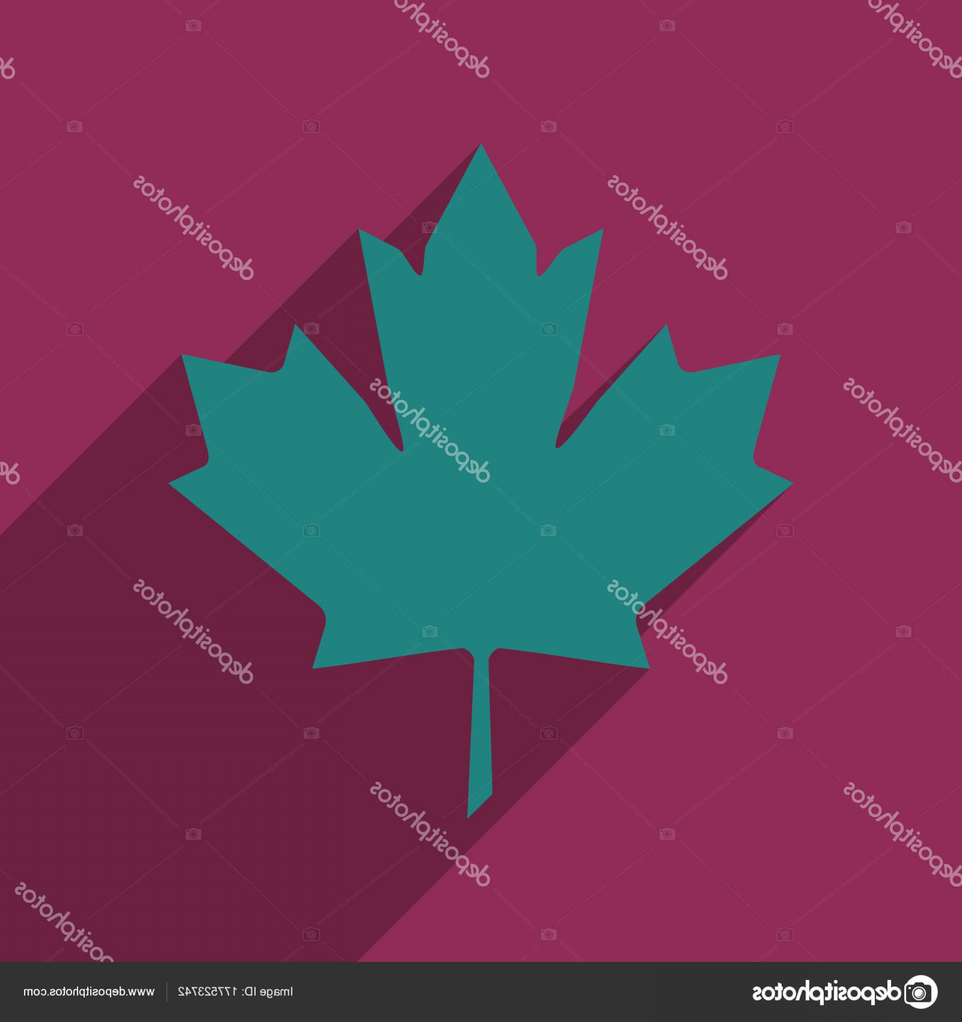 Canada Leaf Vector at Vectorified.com | Collection of Canada Leaf