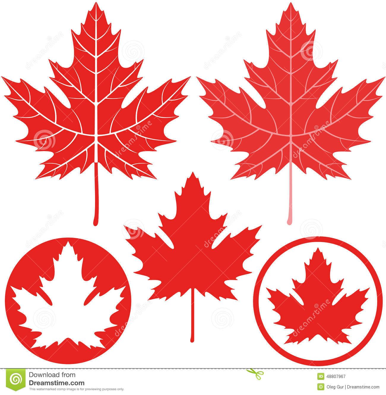 Canada Leaf Vector at Vectorified.com | Collection of Canada Leaf