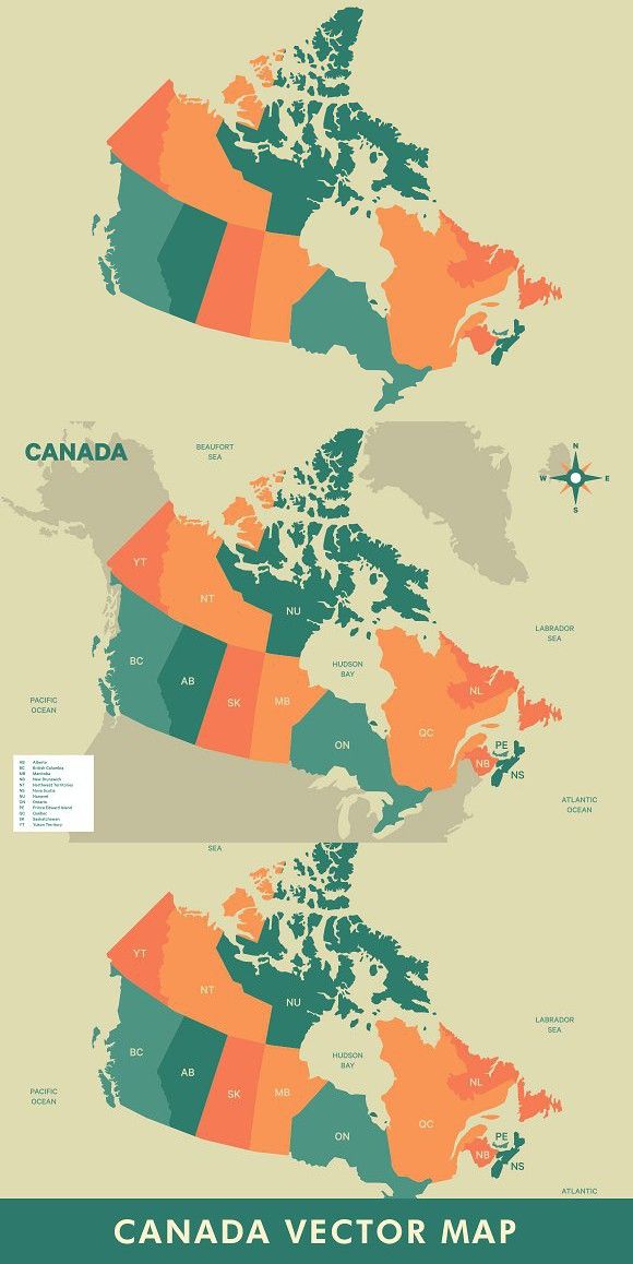580x1158 Canada Vector Map Graphics Map Vector, Map, Infographic Templates