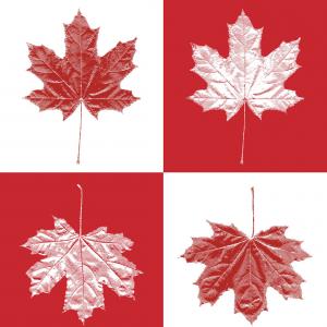 300x300 Canada Vintage Maple Leaf Set Vector Hoodamathrun