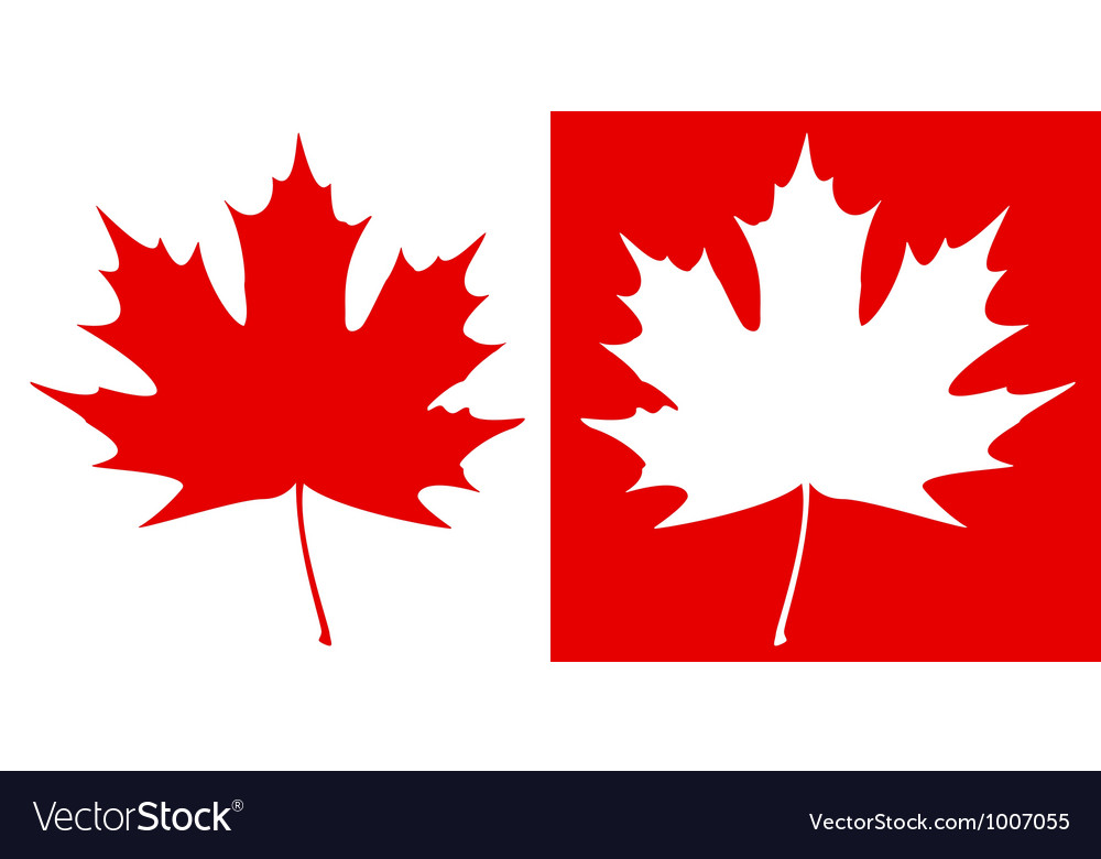 1000x780 Maple Leaf Vector