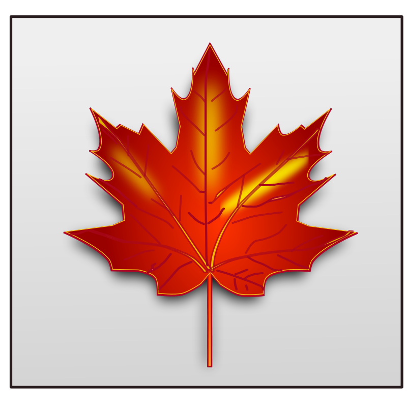 Canada Maple Leaf Vector at Vectorified.com | Collection of Canada