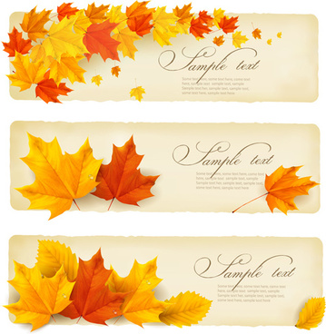 359x368 Maple Leaf Free Vector Download