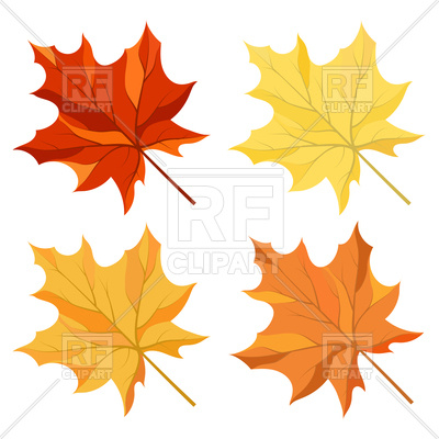 400x400 Autumn Maple Leaves Vector Image Of Plants And Animals Angelp