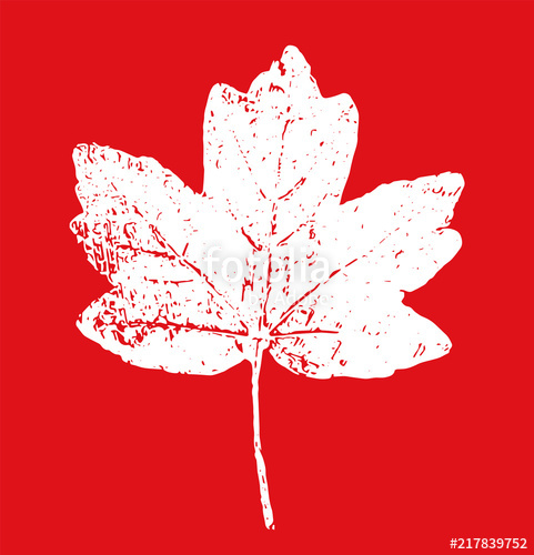 481x500 Canada Maple Leaf Vector Red Stock Image And Royalty Free