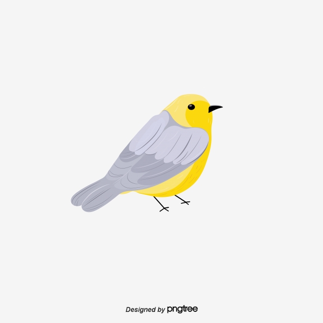 640x640 Flat And Semi Realistic Cute Png Vector Illustration Elements