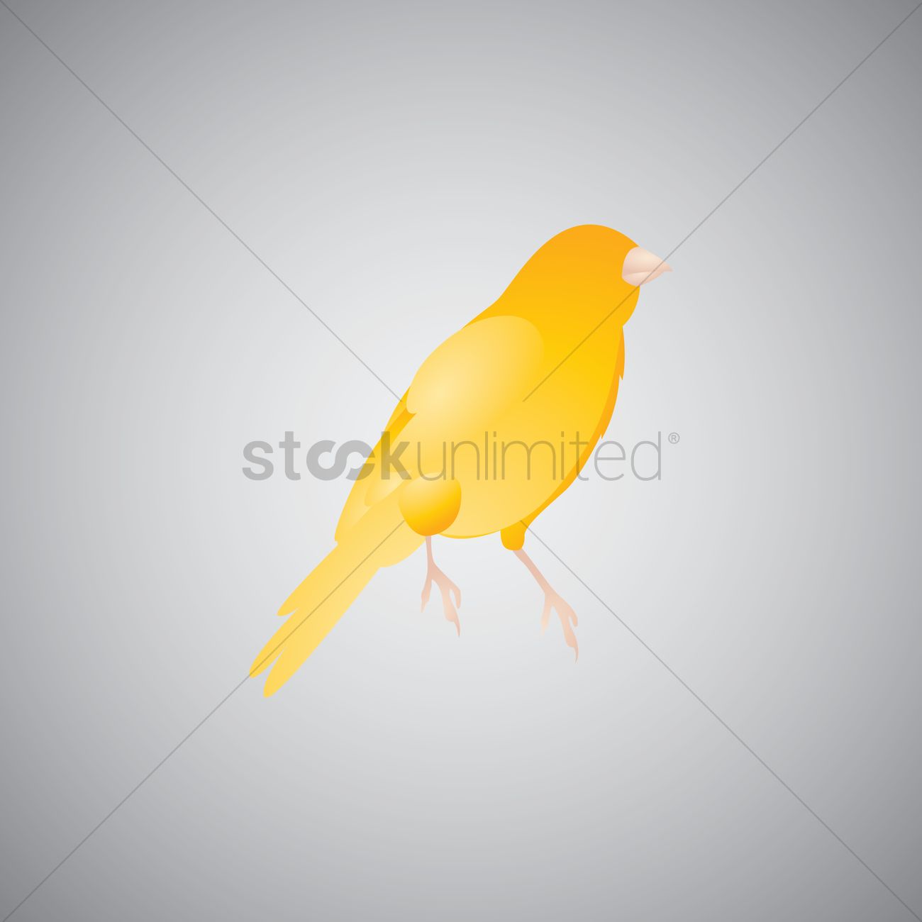 1300x1300 Free Yellow Canary Bird Vector Image